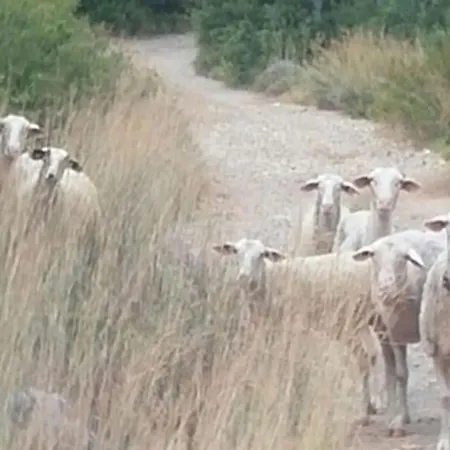 Spacious Retreat With Captivating Mnt View * Sotirianika