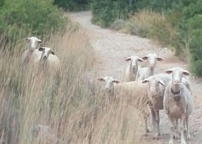 Spacious Retreat With Captivating Mnt View * Sotirianika