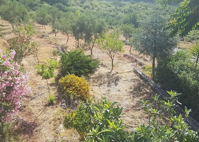 Spacious Retreat With Captivating Mnt View