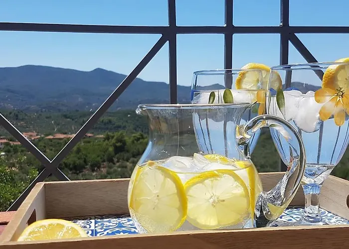 Spacious Retreat With Captivating Mnt View